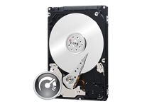 Recommended Product: WESTERN DIGITAL - WD3200BEKT